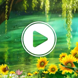 Biểu tượng Video Live Wallpaper - HD Wall